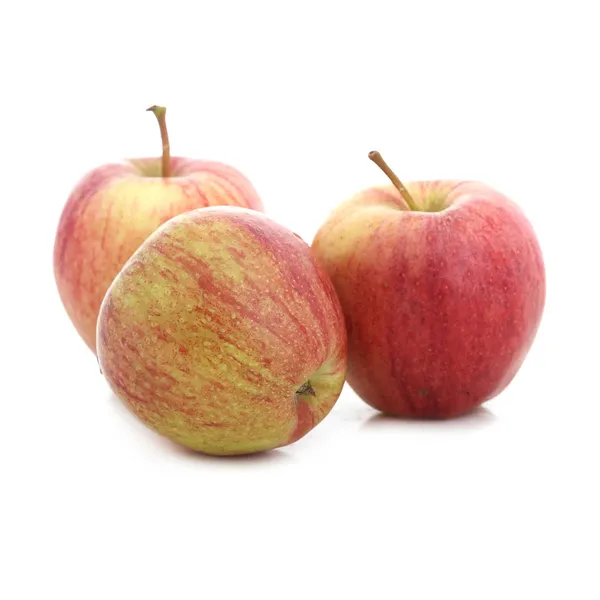 Āboli Royal Gala 75-80 mm, 1.šķira, kg