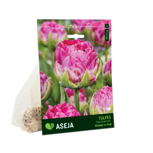 Agrīno pildīto tulpju sīpoli Aseja Wicked in Pink AW26