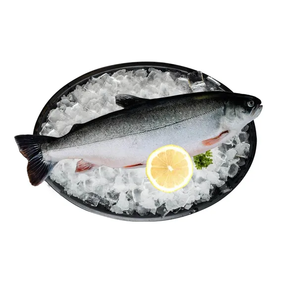 Arktiskā palija Zivsuzledus svaiga, ķidāta kg