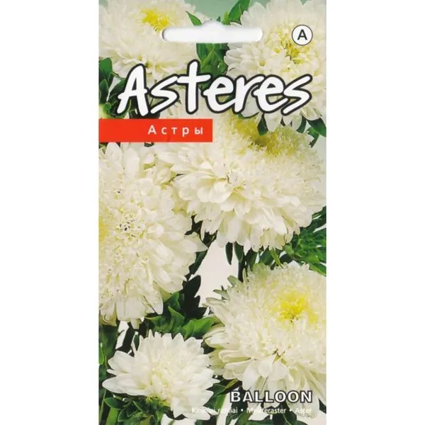 Asteres Balloon white Kurzemes Sēklas