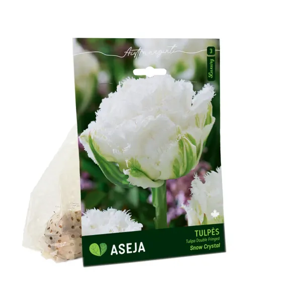 Bārkstaino pildīto tulpju sīpoli Aseja Snow Crystal AW26