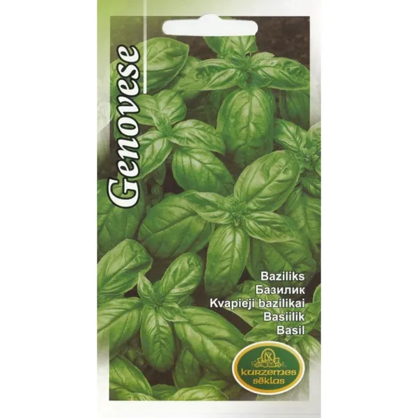 Baziliks Genovese Kurzemes Sēklas