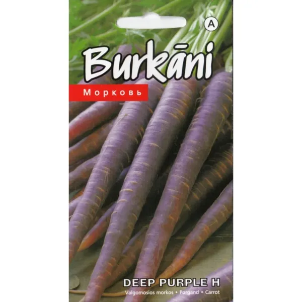 Burkāni Deep Purple H Kurzemes sēklas