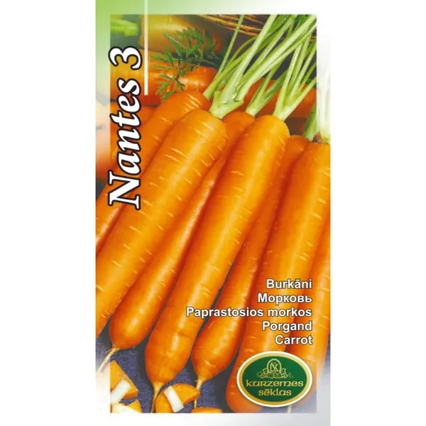 Burkāni Nantes 3 Kurzemes Sēklas