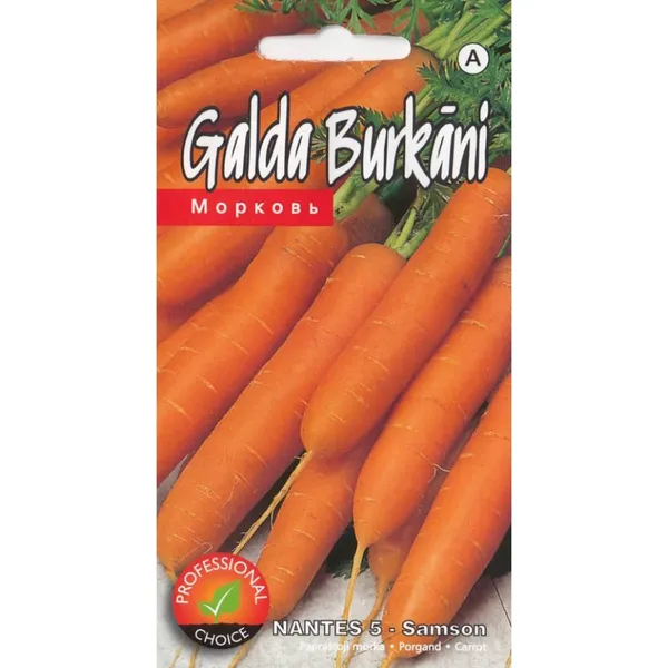 Burkāni Nantes 5 (Samson) Kurzemes Sēklas