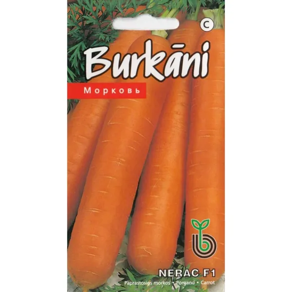Burkāni Nerac F1 Kurzemes sēklas