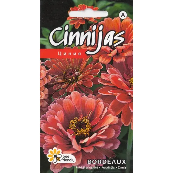 Cinnijas Bordeaux Kurzemes sēklas