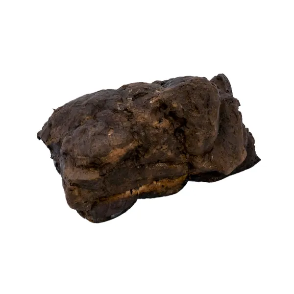 Cūkas cauraudzis senču gaļa