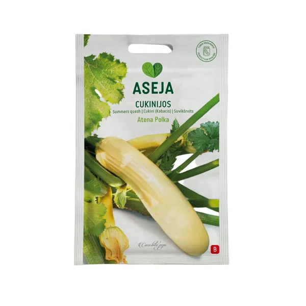 Cukīni Atena Polka, Aseja, 1g, 20-0913 (B)