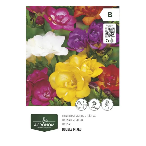 Frēzijas double mix Agronom SG26