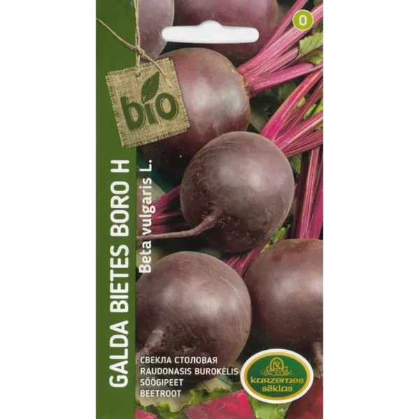 Galda bietes Boro H BIO Kurzemes Sēklas