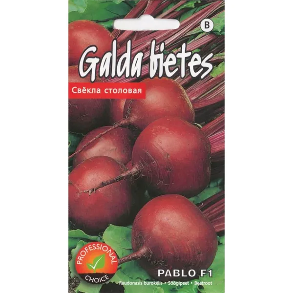 Galda bietes Pablo F1 Kurzemes Sēklas