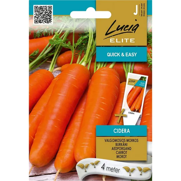 Galda Burkāni Cidera