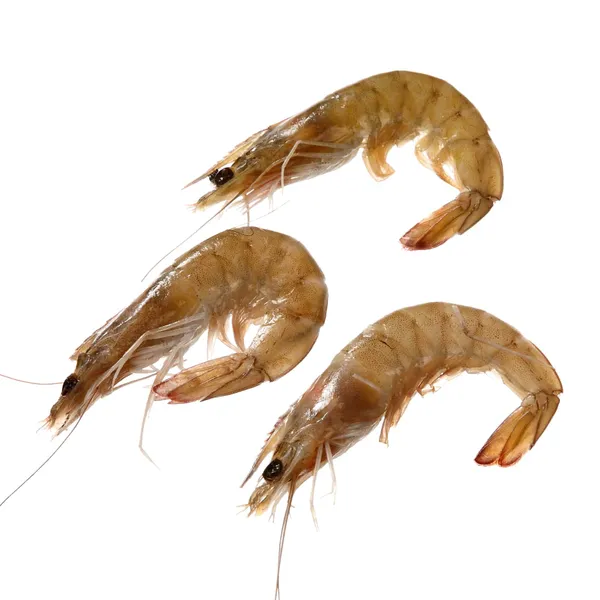 Garneles, nevārītas(70/80),atlaid.kg