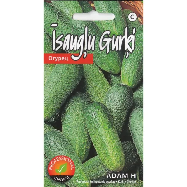 Gurķi Adam F1 Kurzemes sēklas