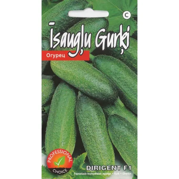 Gurķi Dirigent F1 Kurzemes sēklas