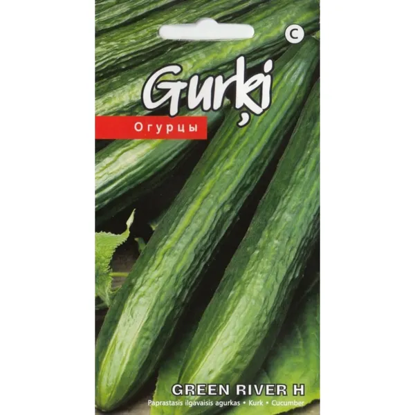 Gurķi Green River H Kurzemes sēklas