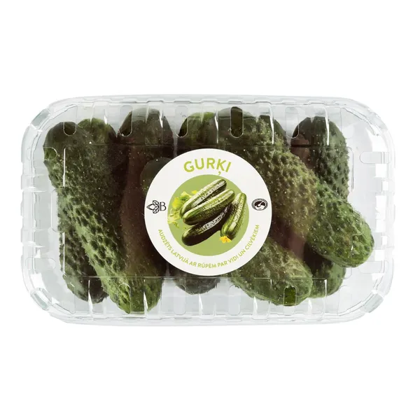 Gurķi īsie 500g Latvija, gab., 1.šķ.