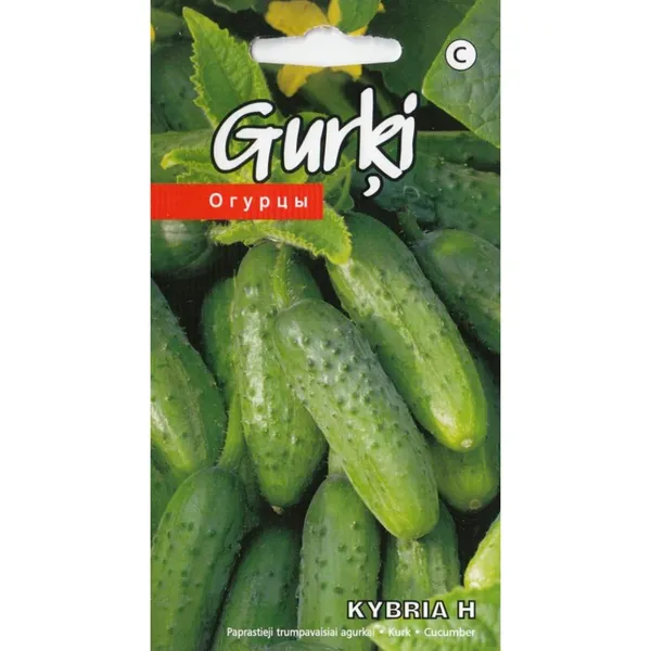 Gurķi Kybria F1 Kurzemes sēklas