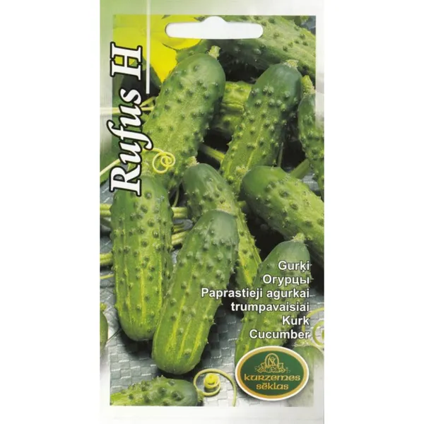Gurķi Rufus F1 Kurzemes Sēklas