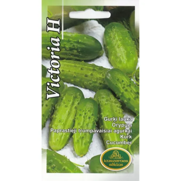 Gurķi Victoria H Kurzemes Sēklas