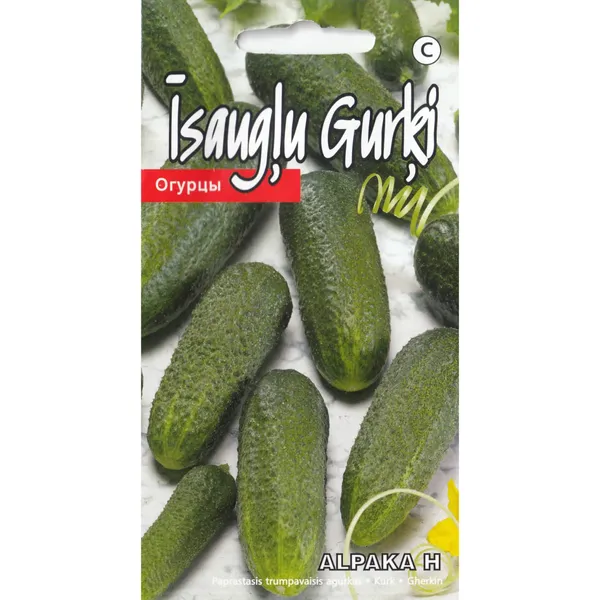 Īsaugļu gurķi Alpaka Kurzemes Sēklas