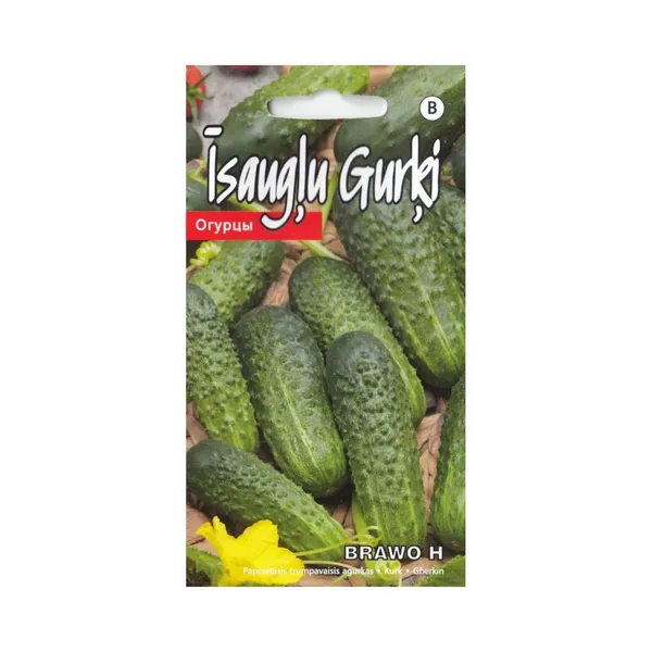Īsaugļu gurķi Brawo H Kurzemes Sēklas