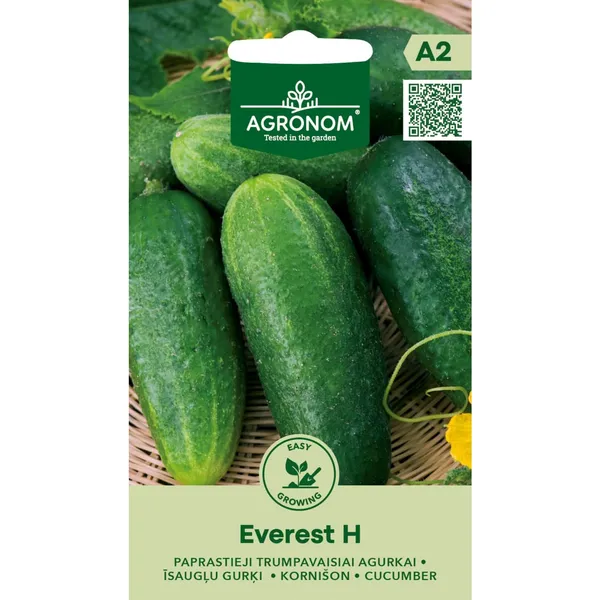 Īsie gurķi Everest H