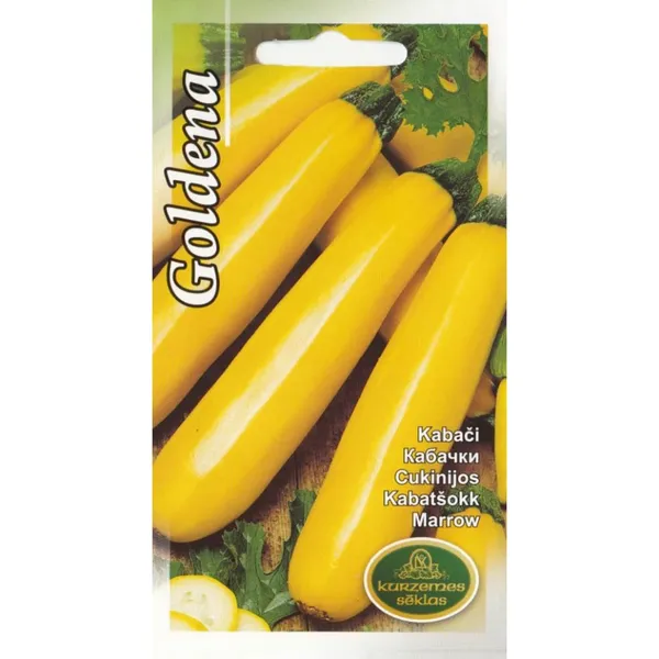 Kabači Goldena Kurzemes Sēklas