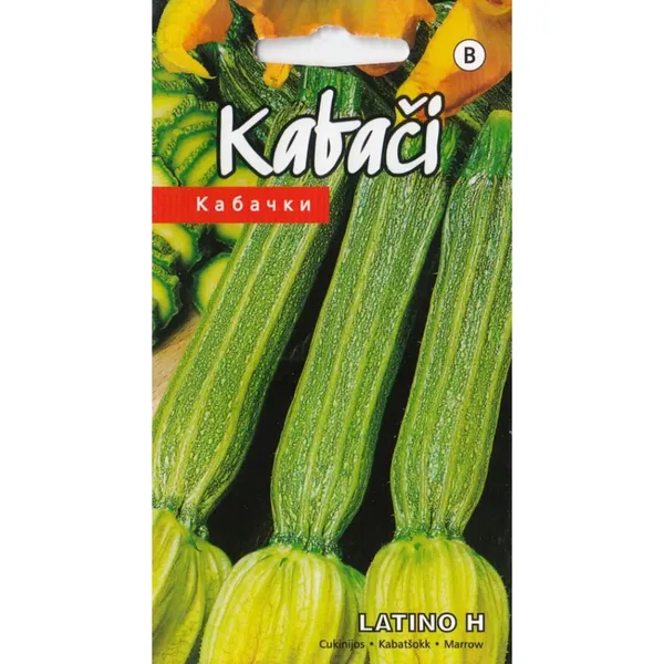 Kabači Latino H Kurzemes Sēklas