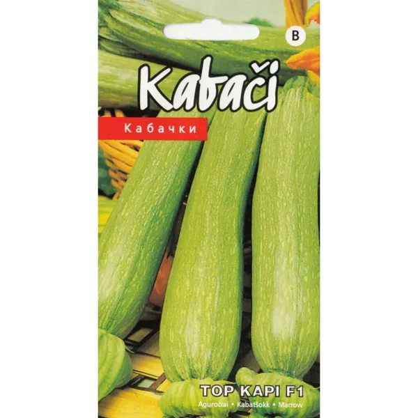 Kabači Top Kapi F1 Kurzemes Sēklas