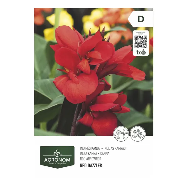 Kanna tumši sarkana Agronom SS26