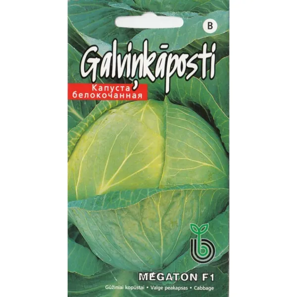Kāposti Megaton F1 Kurzemes Sēklas
