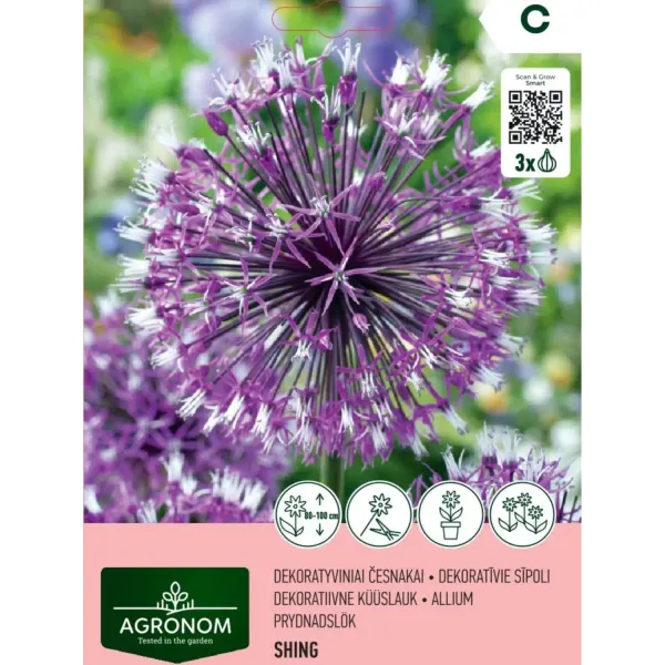 Ķiploki Agronom Shing AG26