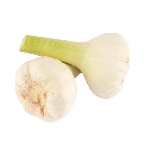 Ķiploki jaunie 50+ mm kg