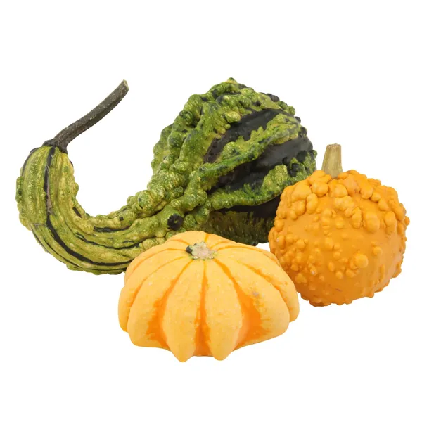 Ķirbji dekoratīvie, gab