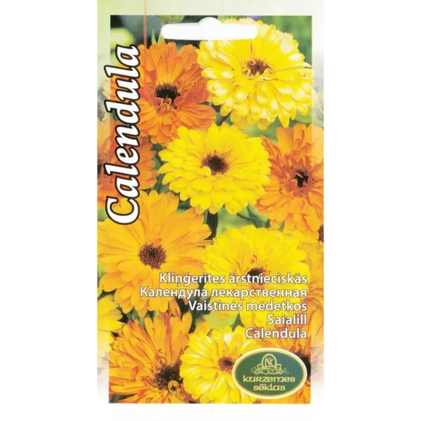 Kliņģerītes ārstnieciskas Kurzemes sēklas