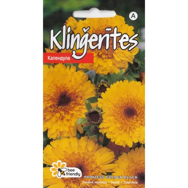 Kliņģerītes Prinzess Golden Black Kurzemes sēklas