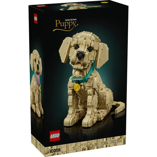 Konstruktors Lego Icons 11384
