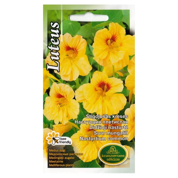 Kreses Luteus Kurzemes sēklas