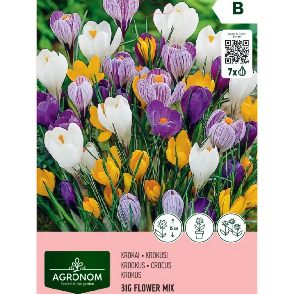 Krokusi Agronom Big Flower mix AG26