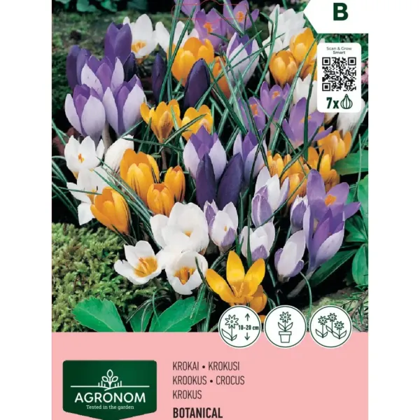Krokusi Agronom jaukts maisījums AG26
