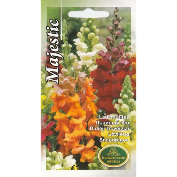 Lauvmutītes Majestic jauktas Kurzemes Sēklas