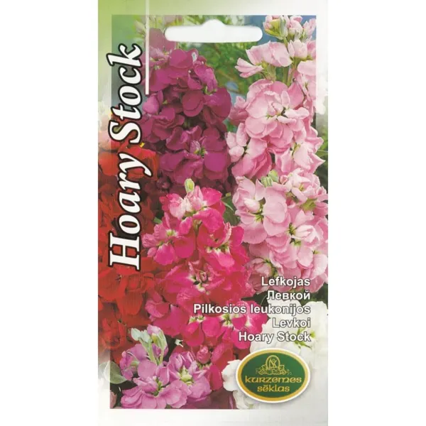 Lefkojas Kurzemes Sēklas