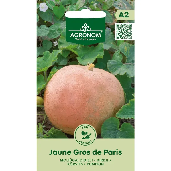 Lielie ķirbji Jaune Gros De Paris