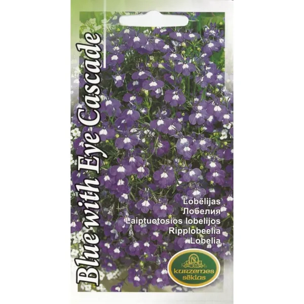 Lobēlijas Blue with eye Cascade Kurzemes Sēklas