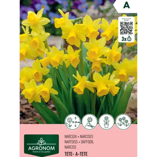 Narcises Agronom Tete-A-Tete dzeltenas AG26
