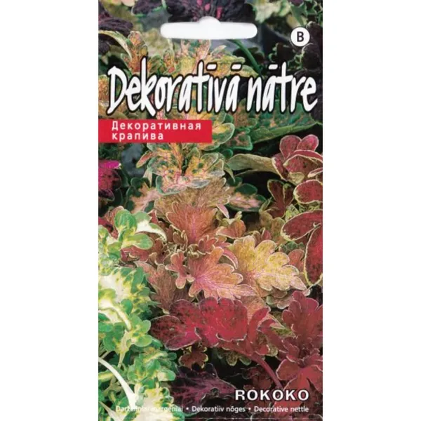 Nātre dekoratīva Rokoko jaukta Kurzemes sēklas