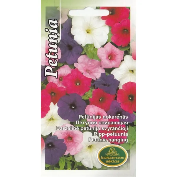 Petūnijas nokarenas jauktas Kurzemes Sēklas