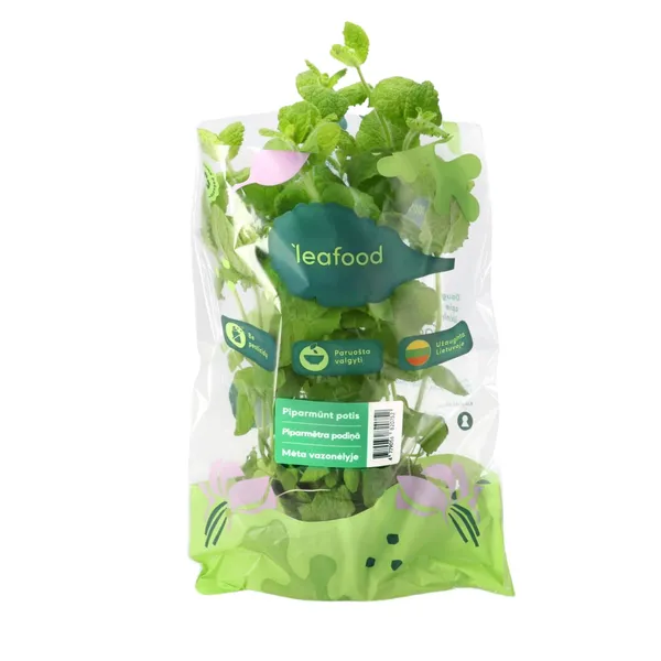 Piparmētra podiņā gab